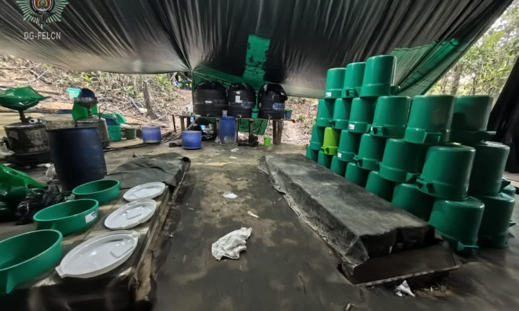 FELCN desmantela laboratorio y afecta al ilícito con $us 300.000