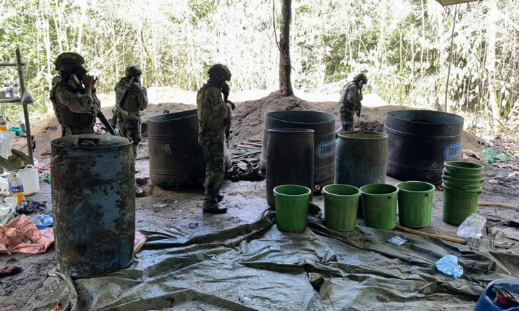 Desmantelan 11 factorías y se incauta 254 kilos de sustancias controladas