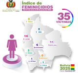 En Bolivia reportan 35 casos con Feminicida de mujer embarazada