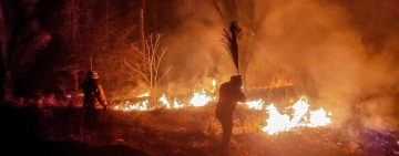 Auditoría forense revela que el 90% de los incendios forestales en Bolivia son provocados