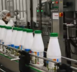 Industria de leche de Achacachi consolida provisión a subsidios y suplemento alimenticio escolar en municipios