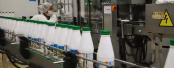 Industria de leche de Achacachi consolida provisión a subsidios y suplemento alimenticio escolar en municipios