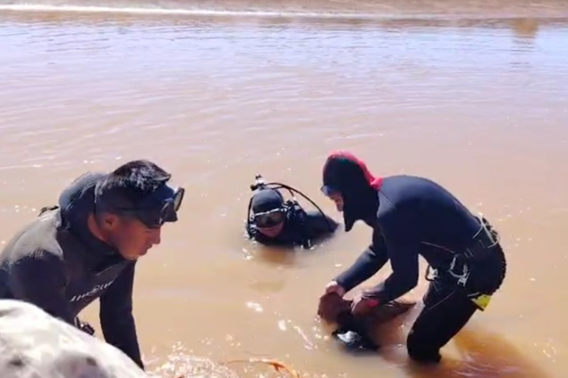 Navales hallan segundo cuerpo sin vida, desaparecido en el Río Desaguadero-Oruro