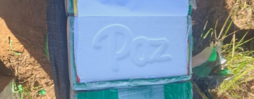 En Beni desmantelan acopio, pista e incautan 350 paquetes de cocaína con inicial de “paz”