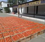 Navales en frontera con Argentina comisan productos de contrabando valuados en Bs. 25.800