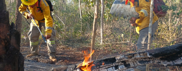 Marinos controlan incendio forestal en comunidad de Palmarito, en Santa Cruz 