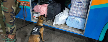 Can “Vasko” detecta y evita tráfico de marihuana camuflada en calzados