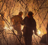 Navales controlan incendio forestal en San Jorge-Santa Cruz