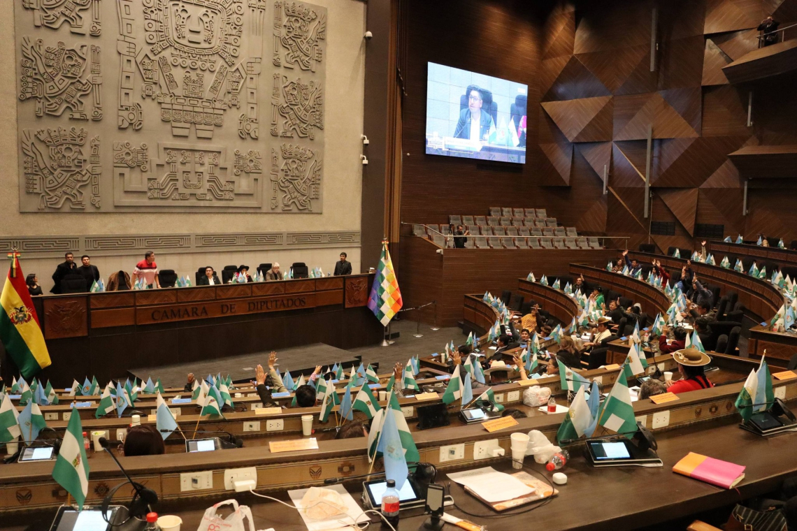 Diputados agenda leyes de reactivación de exploración de hidrocarburos y designación de vocales del TSE