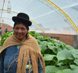 En Achocalla entregan 74 invernaderos para producir 108 toneladas de hortalizas al año