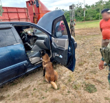 El can “Isak” detecta clorhidrato en la carretera Santa Cruz-Cochabamba