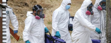 Macabro hallazgo en Chile: la policía encontró dos cuerpos calcinados y descuartizados en un operativo antidrogas