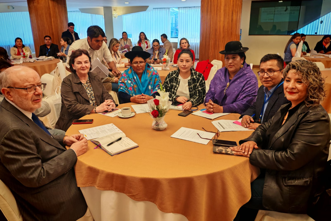 Organizaciones refuerzan acciones para aplicar la Ley 243 en asambleas departamentales