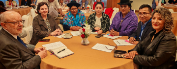 Organizaciones refuerzan acciones para aplicar la Ley 243 en asambleas departamentales