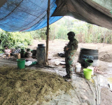 FELCN-UMOPAR desbarata factorías de pasta base en el Chapare boliviano