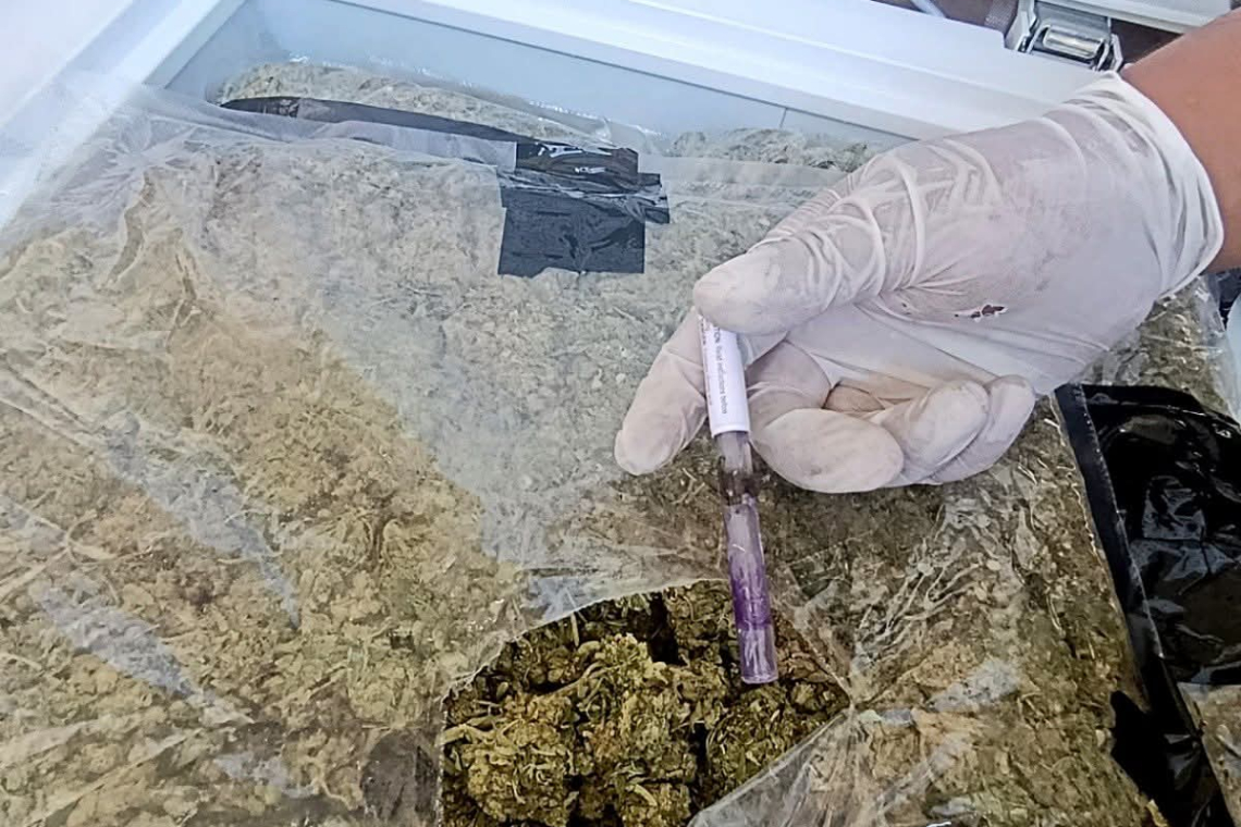 Can antidroga detecta marihuana en frigo bares en Tarija