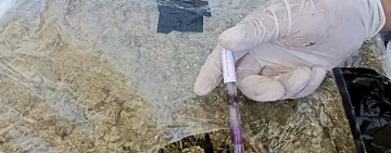 Can antidroga detecta marihuana en frigo bares en Tarija