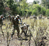 Monitoreo de cultivos de coca establecen un incremento del 10% en 2024
