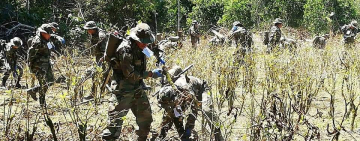 Monitoreo de cultivos de coca establecen un incremento del 10% en 2024