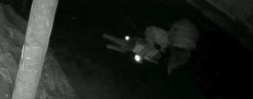 Fiscalía investiga de oficio a dos agresores de un transeúnte en vía pública