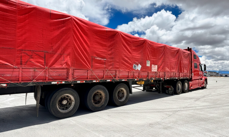 Aduana comisa al menos 5 Tn de precursores químicos en Tambo Quemado