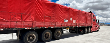 Aduana comisa al menos 5 Tn de precursores químicos en Tambo Quemado