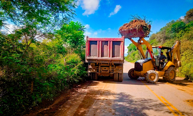 Época de lluvias: ABC restablece transitabilidad en distintos tramos carreteros de Tarija, Pando, La Paz y Potosí