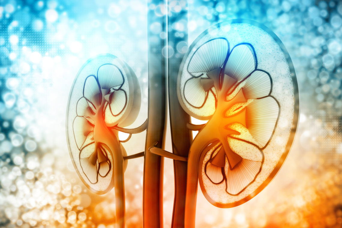 El trasplante de riñón ahora es gratuito en Rusia 