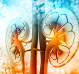 El trasplante de riñón ahora es gratuito en Rusia 