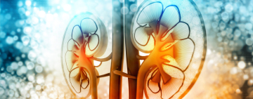 El trasplante de riñón ahora es gratuito en Rusia 