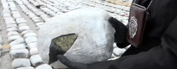 Incautan en Chile 1,2 toneladas de marihuana que ingresó desde Bolivia