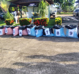 Precursores, armas y 400 kg de cocaína son confiscados en un laboratorio en Villa Tunari