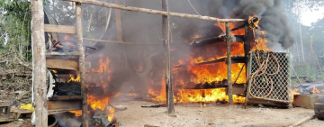 Marinos desmantelan minería ilegal emplazada en cerro San Simón, hay 10 brasileros capturados