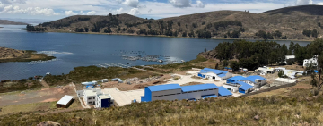 Fiscalía imputa a Franklin Flores por anomalías en planta piscícola del lago Titicaca