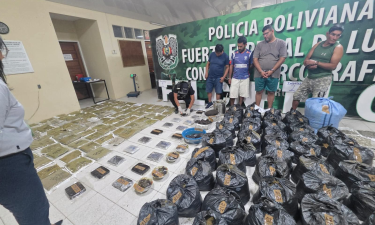 FELCN desbarata factorías de hachís y afecta al narcotráfico con $us1 millón