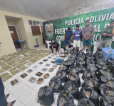 FELCN desbarata factorías de hachís y afecta al narcotráfico con $us1 millón