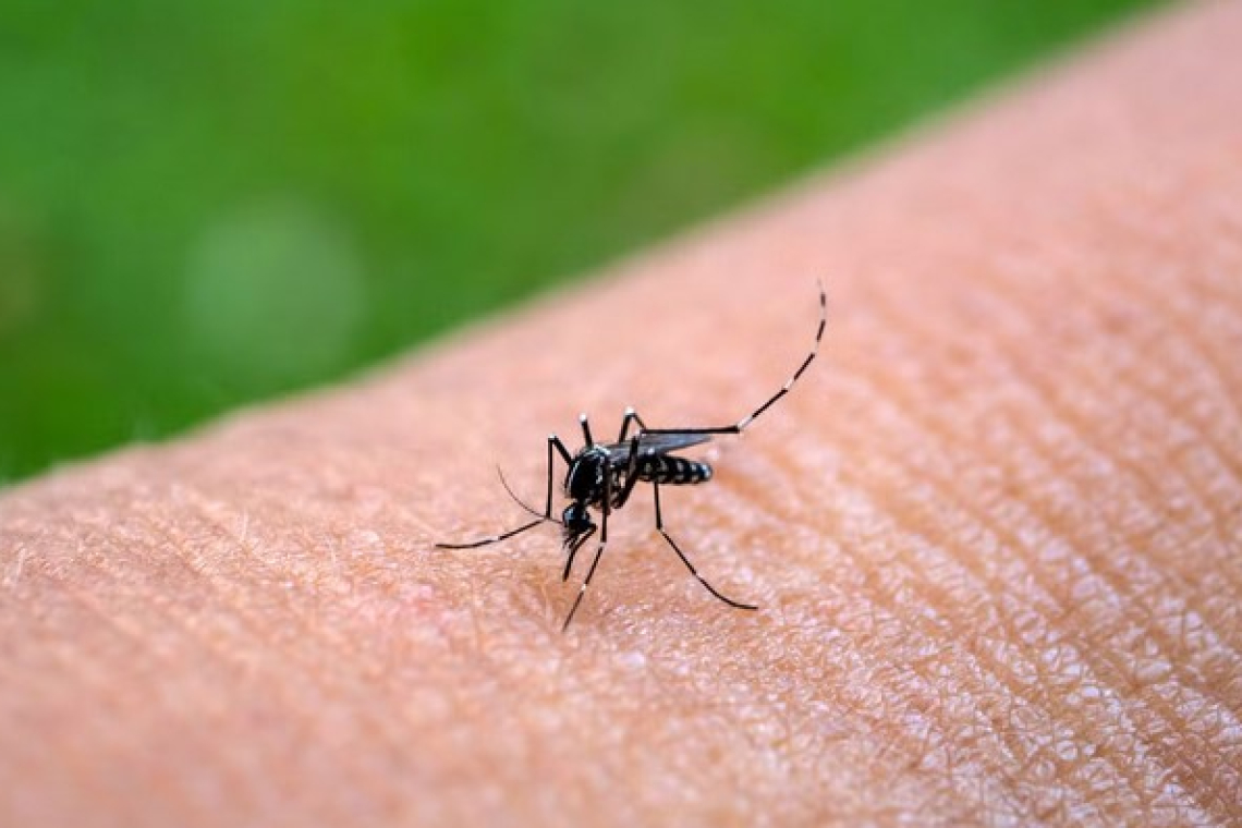 Salud reporta 5.371 casos de chikungunya en el país y declara alerta roja en La Paz