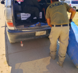 ANH identifica 560 placas observadas por carguío repetitivo de combustible 