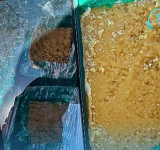 Un policía antidroga aprehendido por adulterar cocaína incautada