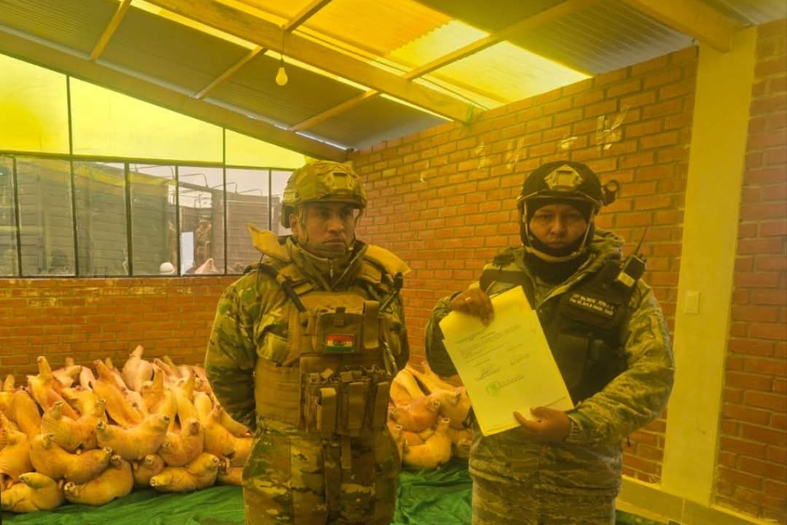 En Guaqui navales comisan carne de cerdo y aceite automotriz valuado en Bs753.950.