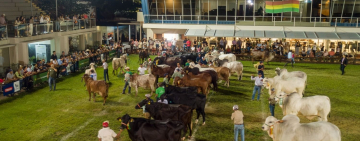 Agropecruz: Fiscal General promueve acciones contra abigeato y avasallamientos