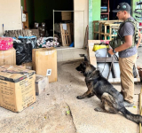 FELCN confisca sustancias químicas y controladas en varios operativos