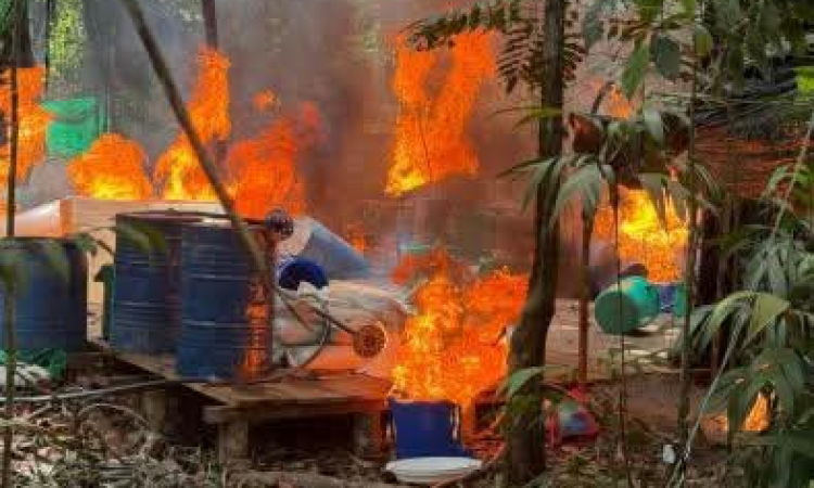 FELCN confisca 84 kilos de sustancias controladas en varios puntos del país