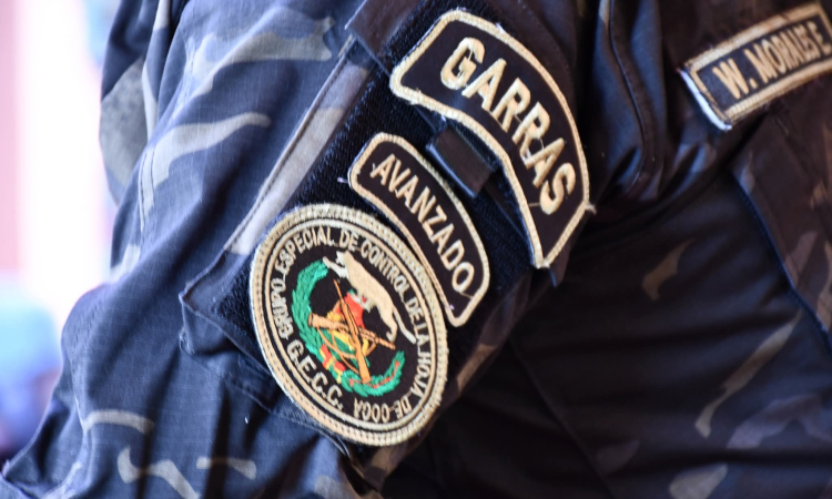 UNODC verifica incineración de 251 kilos de sustancias controladas