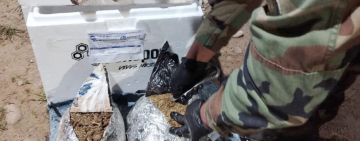 En el Norte de La Paz la FELCN incauta marihuana camuflada en pescados