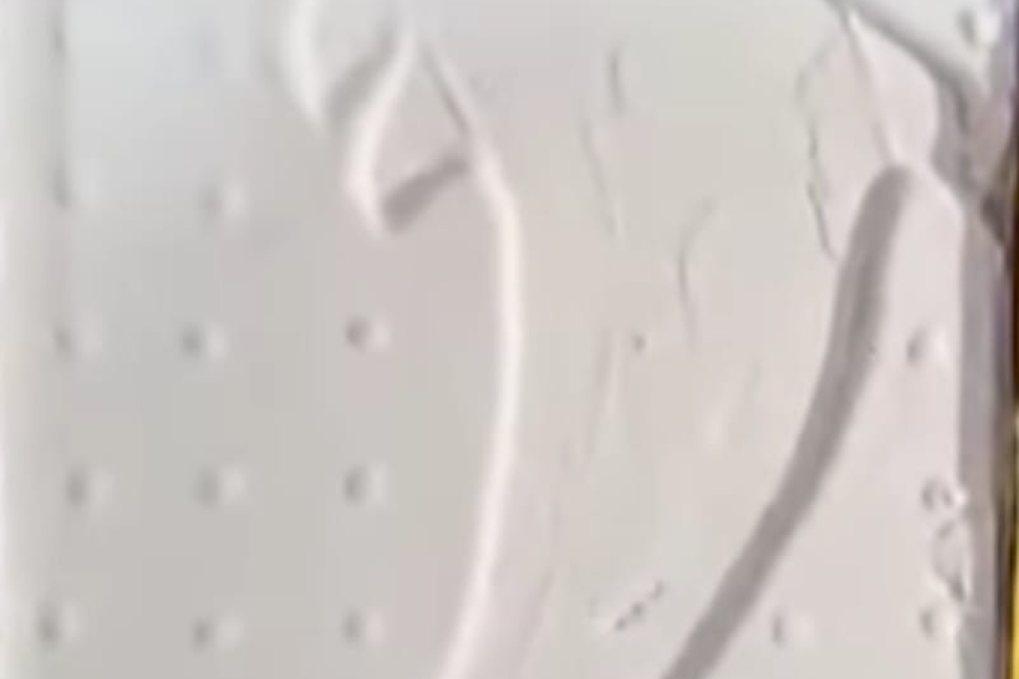 En persecución policial caen dos bolivianos con 240 kilos de cocaína en Argentina