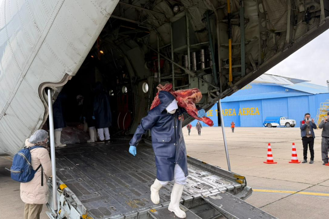Argentina apoya con dos aviones Hércules para traslado de alimentos a La Paz ante bloqueos