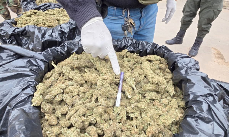 FELCN-Santa Cruz afecta al narcotráfico con casi medio millón de dólares