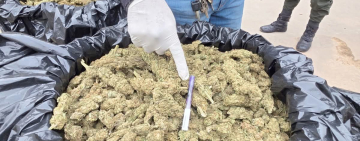 FELCN-Santa Cruz afecta al narcotráfico con casi medio millón de dólares