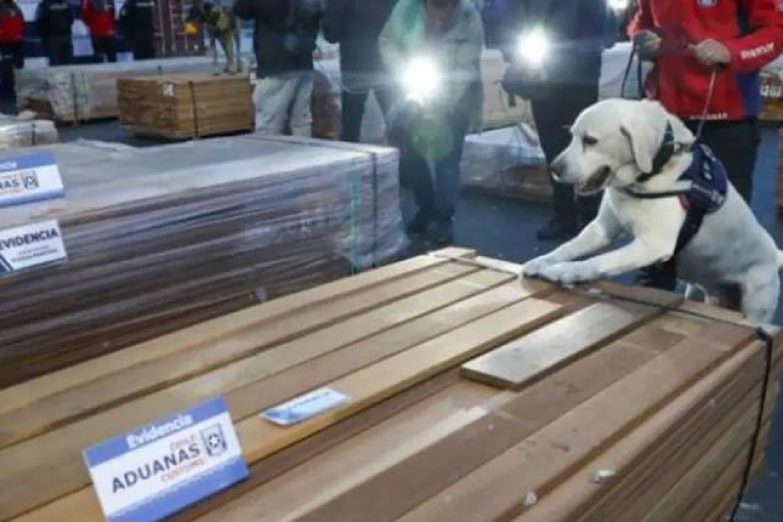ASP-B aclara que cargamento de madera impregnado con droga incautado en Arica no fue operado por la institución